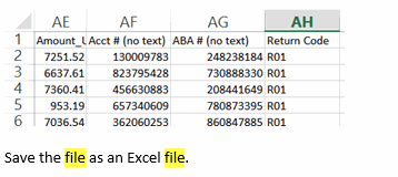 ACH returns Excel file