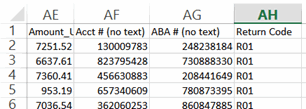 ACH_Return_File_04